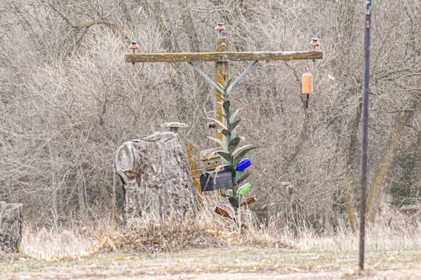 Nebraska Trip 34 3 Photography Art | Photos By Regan