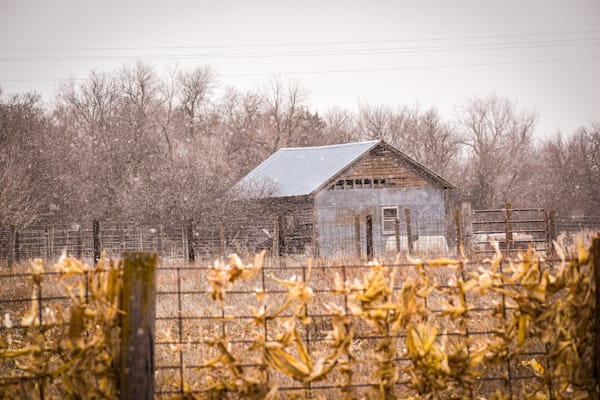 Nebraska Trip 37 3 Photography Art | Photos By Regan