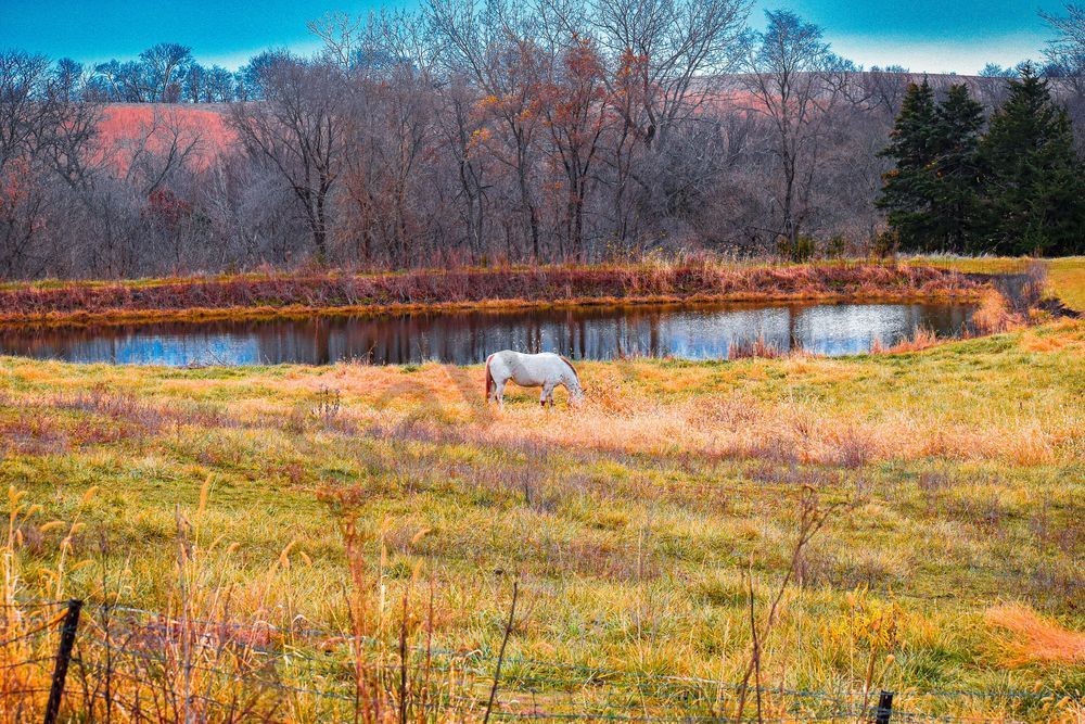 November 2025 74 Photography Art | Photos By Regan