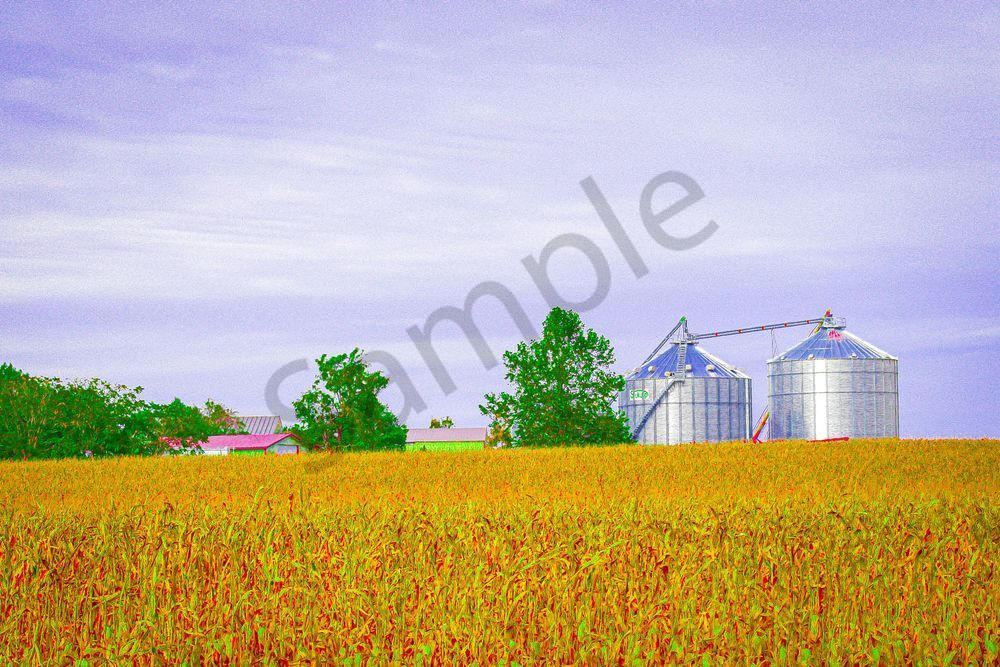 October 2024 812 Photography Art | Photos By Regan