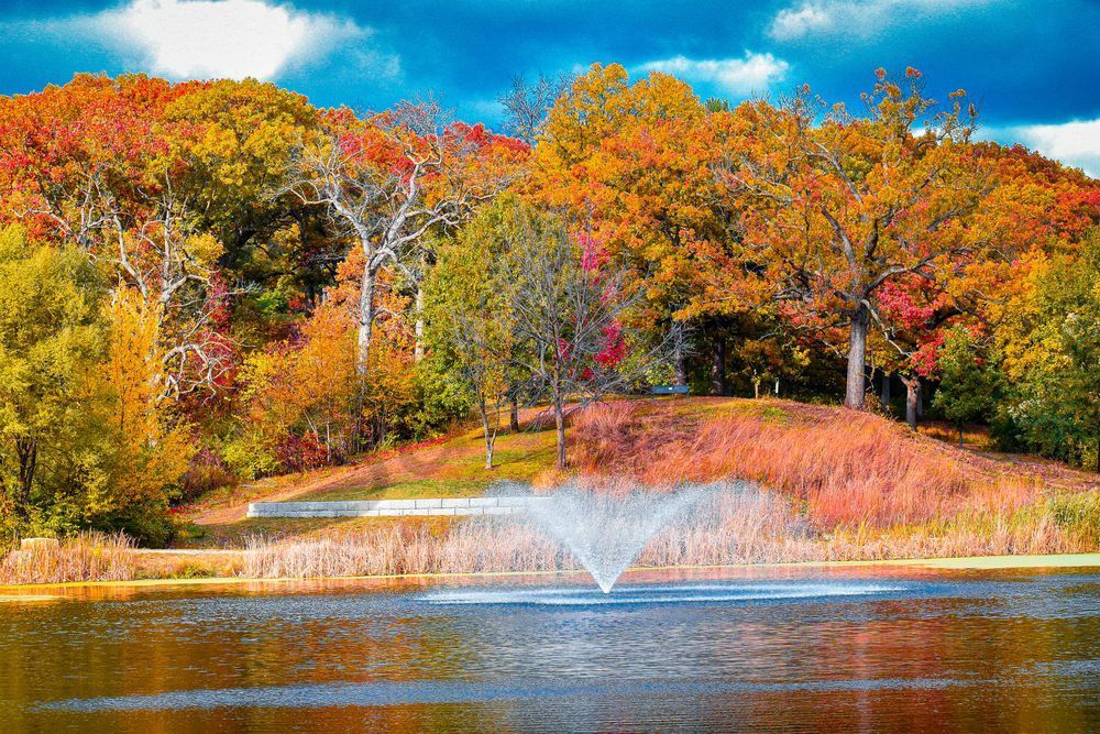 October 2025 14 Photography Art | Photos By Regan