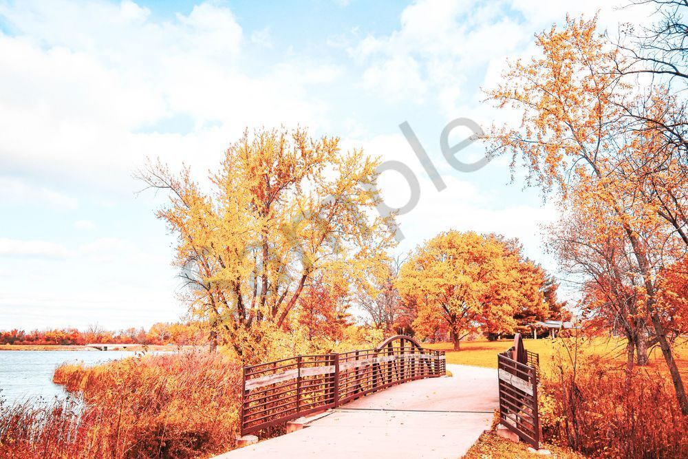 October 2025 21 Photography Art | Photos By Regan