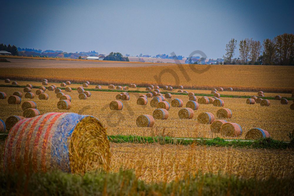 October 2025 222 Photography Art | Photos By Regan