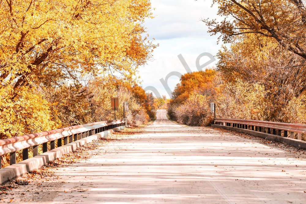 October 2025 50 Photography Art | Photos By Regan