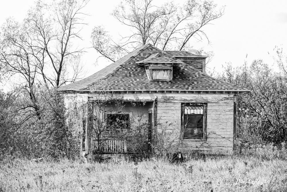 October 2025 45 Photography Art | Photos By Regan