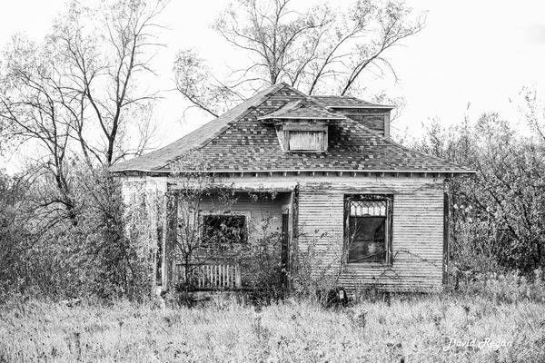 October 2025 45 Photography Art | Photos By Regan