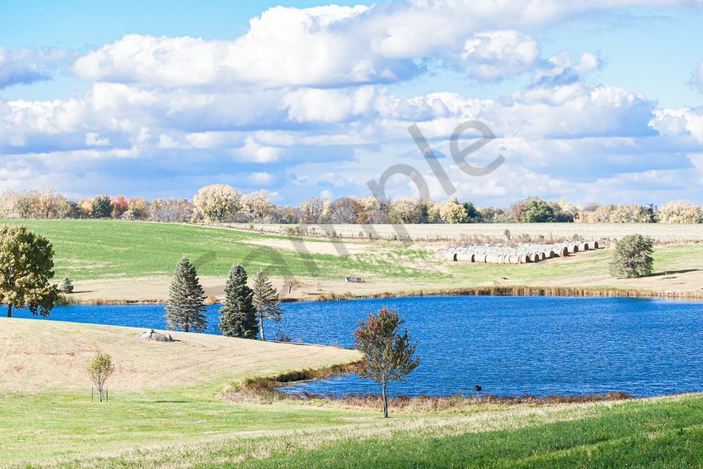 October 2025 43 Photography Art | Photos By Regan