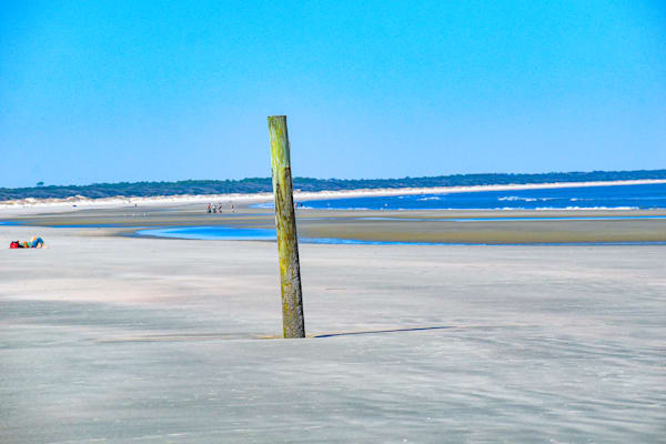 March 2025 372 Photography Art | Photos By Regan