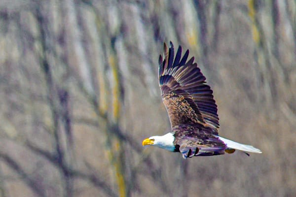 March 2025 185 Photography Art | Photos By Regan