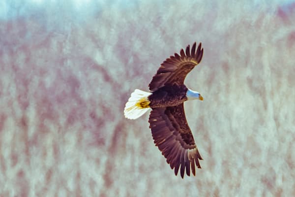 March 2025 163 Photography Art | Photos By Regan