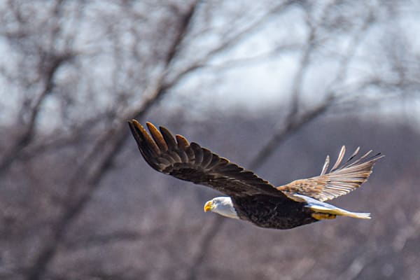 March 2025 139 Photography Art | Photos By Regan