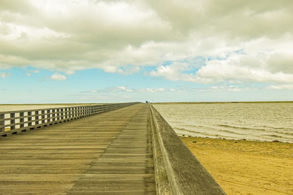 May 2025 5 Photography Art | Photos By Regan