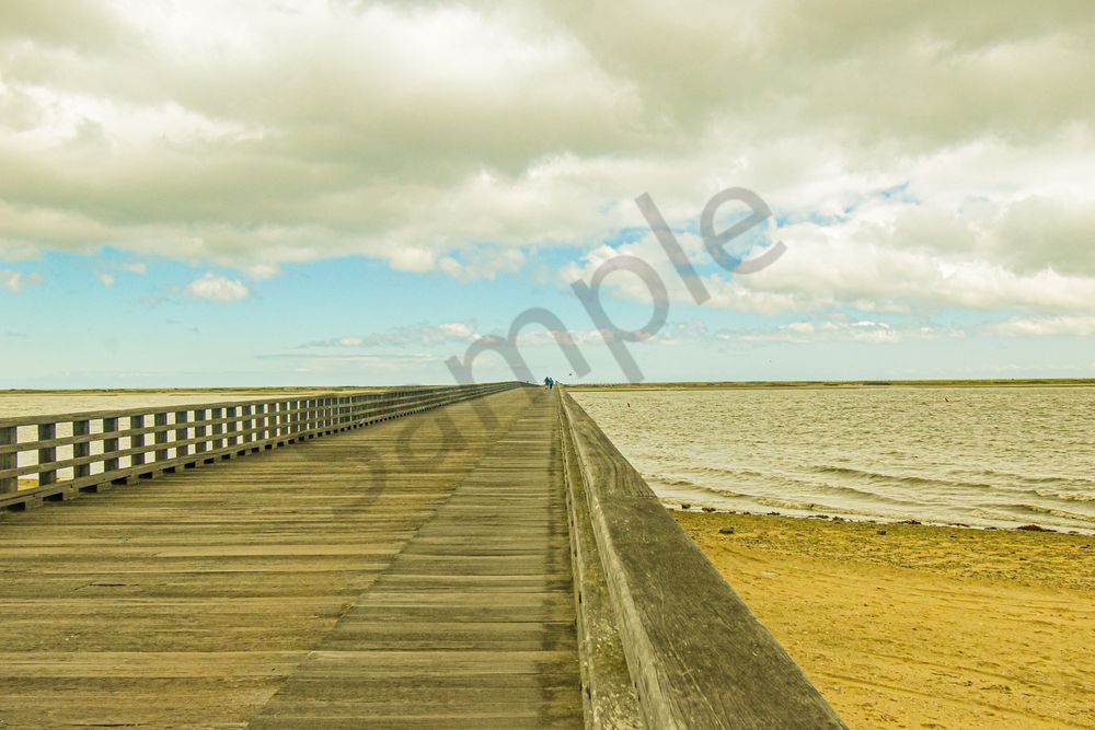 May 2025 5 Photography Art | Photos By Regan