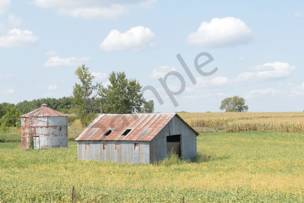 September 2025 866 Photography Art | Photos By Regan