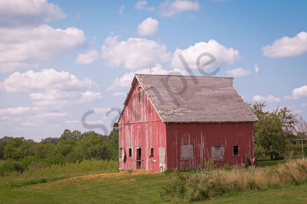 September 2025 862 Photography Art | Photos By Regan