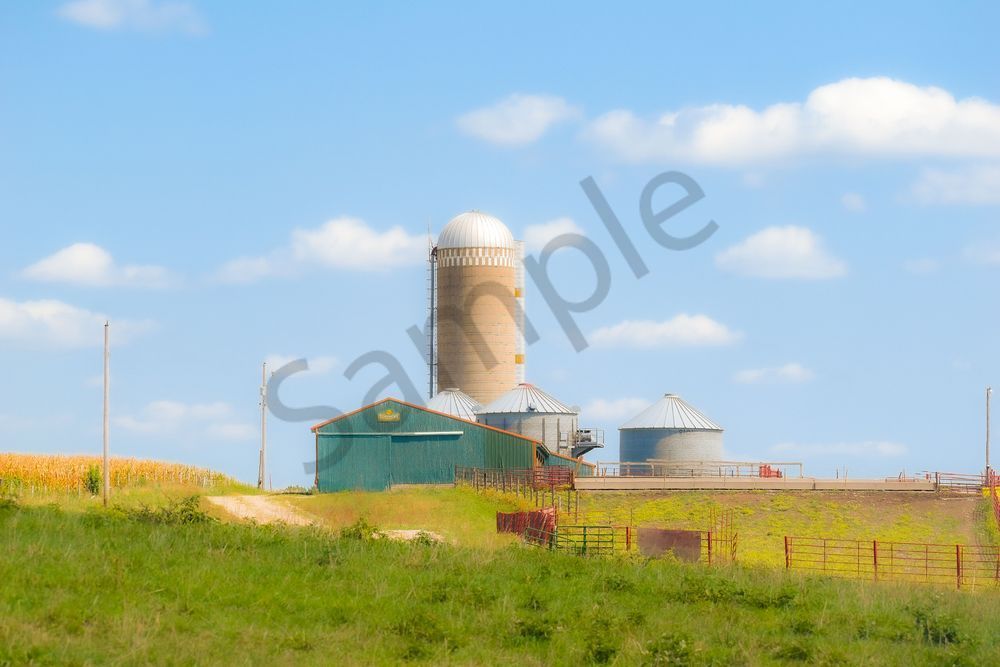 September 2025 838 Photography Art | Photos By Regan