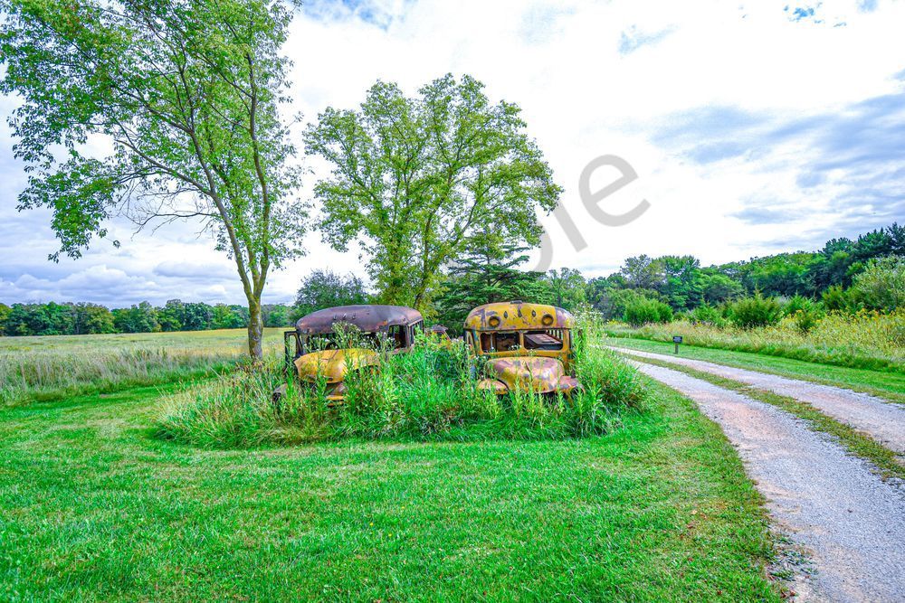 September 2025 244 Photography Art | Photos By Regan