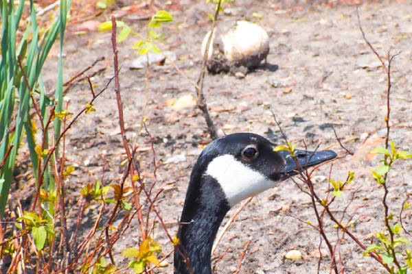 Pella 4 Photography Art | Photos By Regan