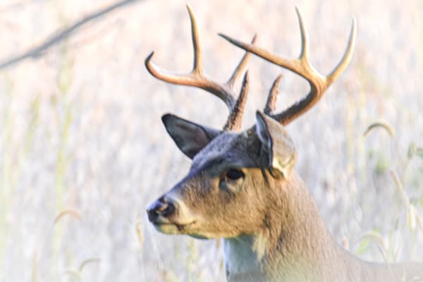 Dsc0333 Photography Art | Photos By Regan