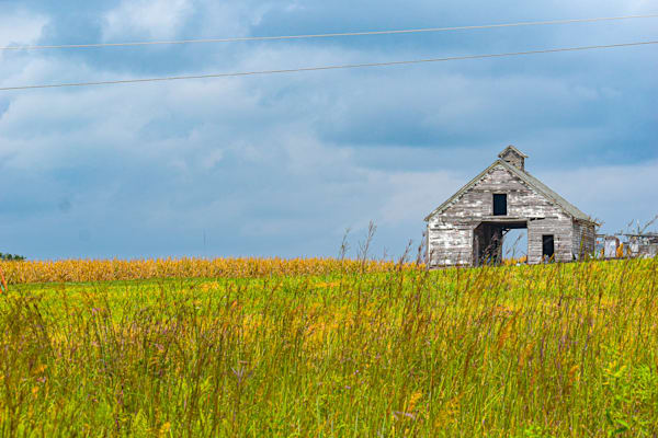 Dsc0135 Photography Art | Photos By Regan