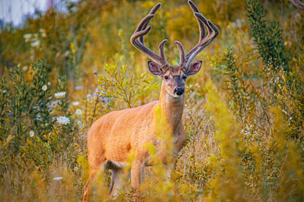 Dsc0172 2 Photography Art | Photos By Regan