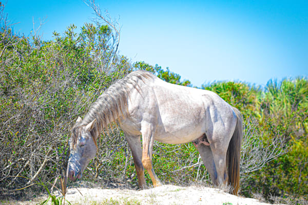 Dsc0192 Photography Art | Photos By Regan