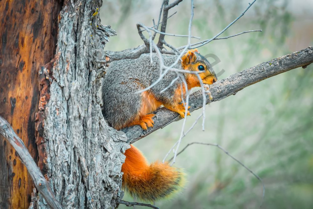 Dsc0183 Photography Art | Photos By Regan