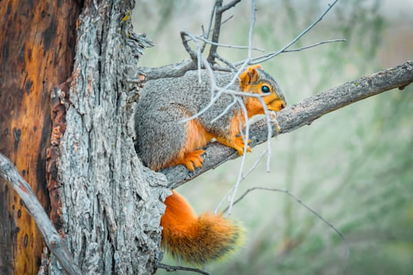 Dsc0183 Photography Art | Photos By Regan