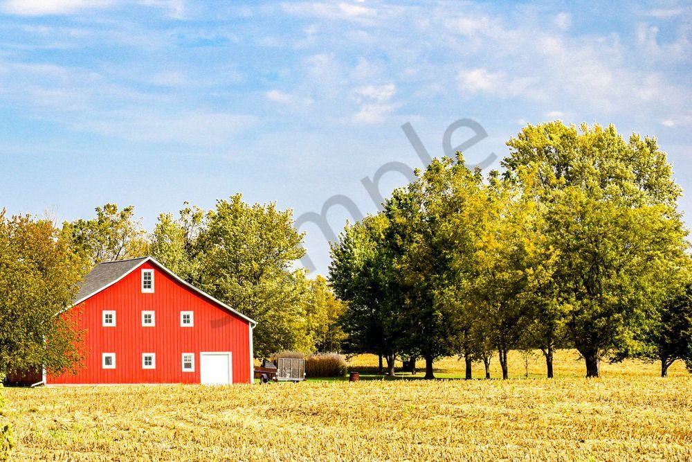 Dsc0015 Photography Art | Photos By Regan