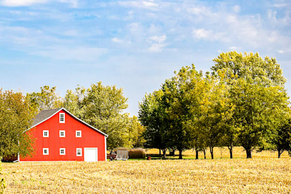 Dsc0015 Photography Art | Photos By Regan