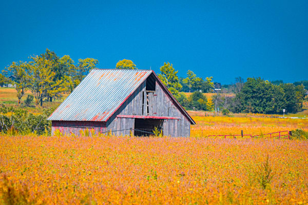 Dsc0009 2 Photography Art | Photos By Regan