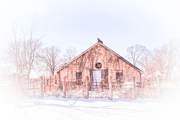 Dsc0037 3 Photography Art | Photos By Regan