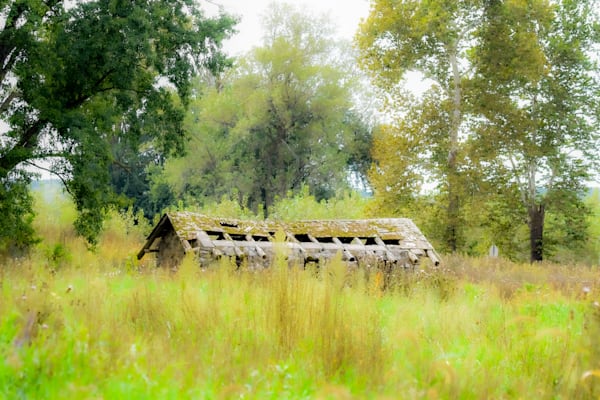 Dsc0028 2 Photography Art | Photos By Regan