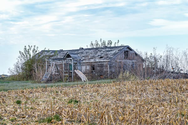 Dsc0051 Photography Art | Photos By Regan