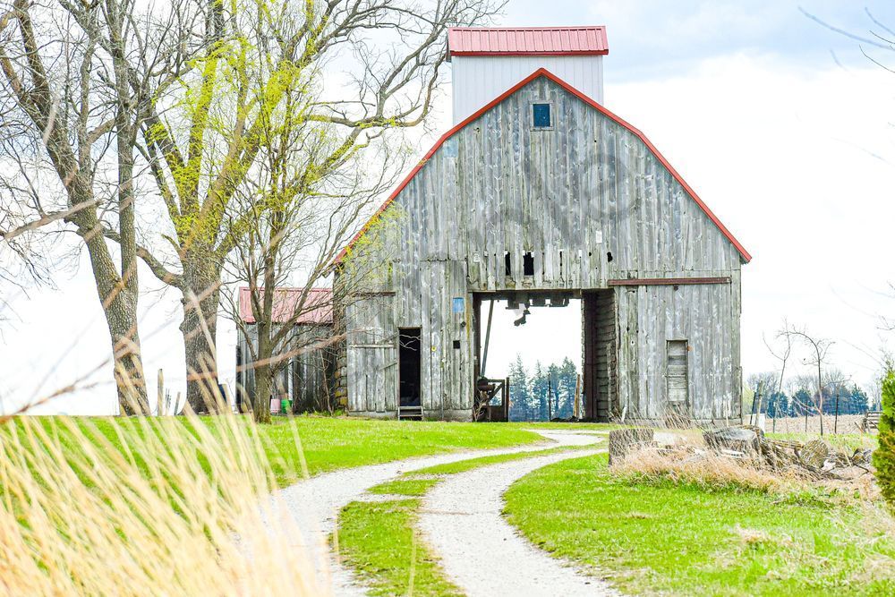 Dsc0058 Photography Art | Photos By Regan