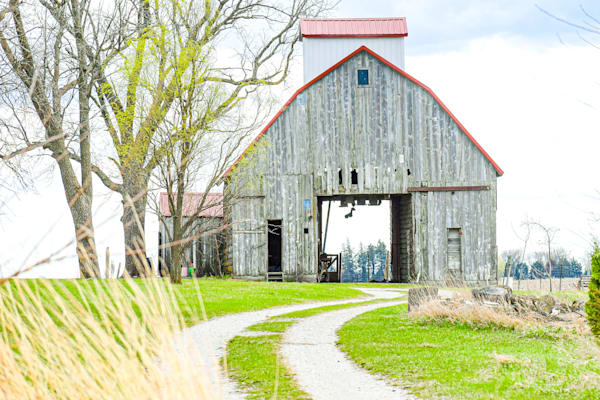 Dsc0058 Photography Art | Photos By Regan