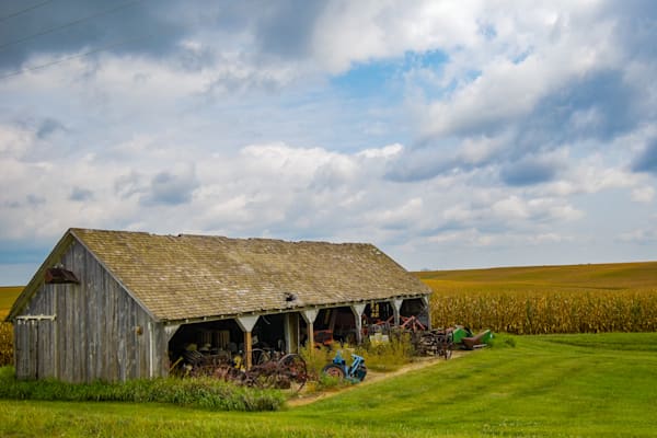 Dsc0047 2 Photography Art | Photos By Regan