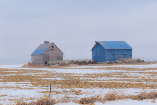 Dsc0072 3 Photography Art | Photos By Regan