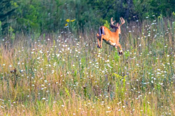 Dsc0869 Photography Art | Photos By Regan