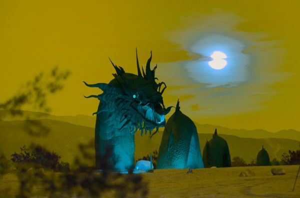 Dragons