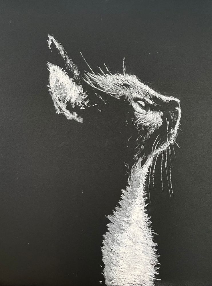 Lightcatcher Art | Michelle Major Art