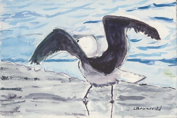 Seascapes