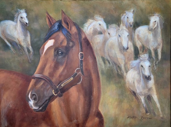 Run with the Angels- Barbaro