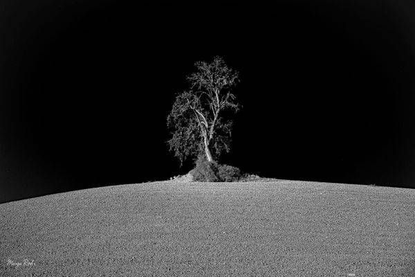 Black And White