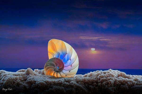 Photo Digital Creations