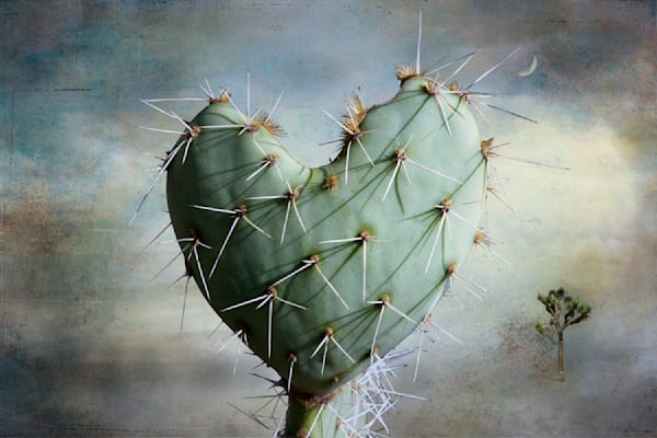 Photo Digital Creations