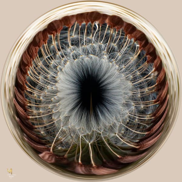 Botanical Art