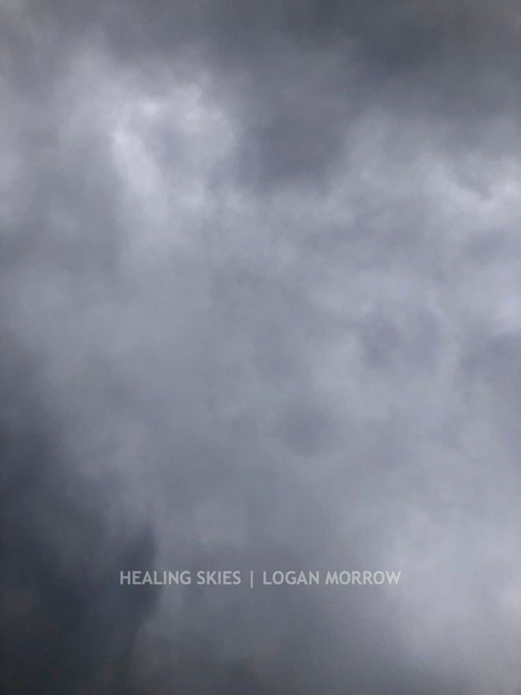 Girl’s Best Friend | Healing Skies by Logan Morrow | Animal Love Fine Art Print