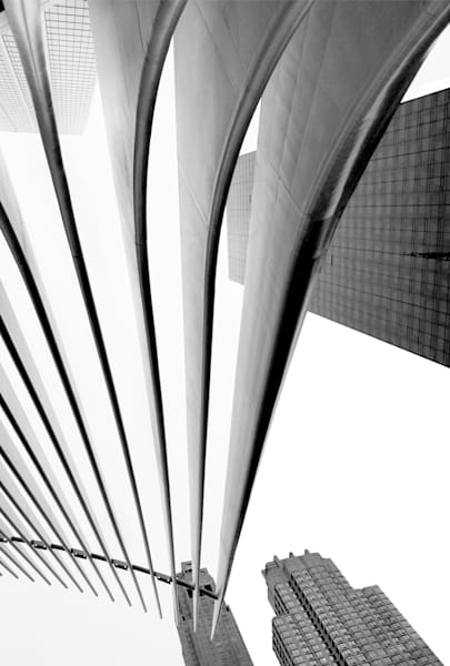 Oculus Outside 1 Art | Denise Dell'Olio Photography