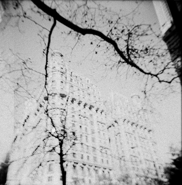 Holga Ansonia Art | Denise Dell'Olio Photography